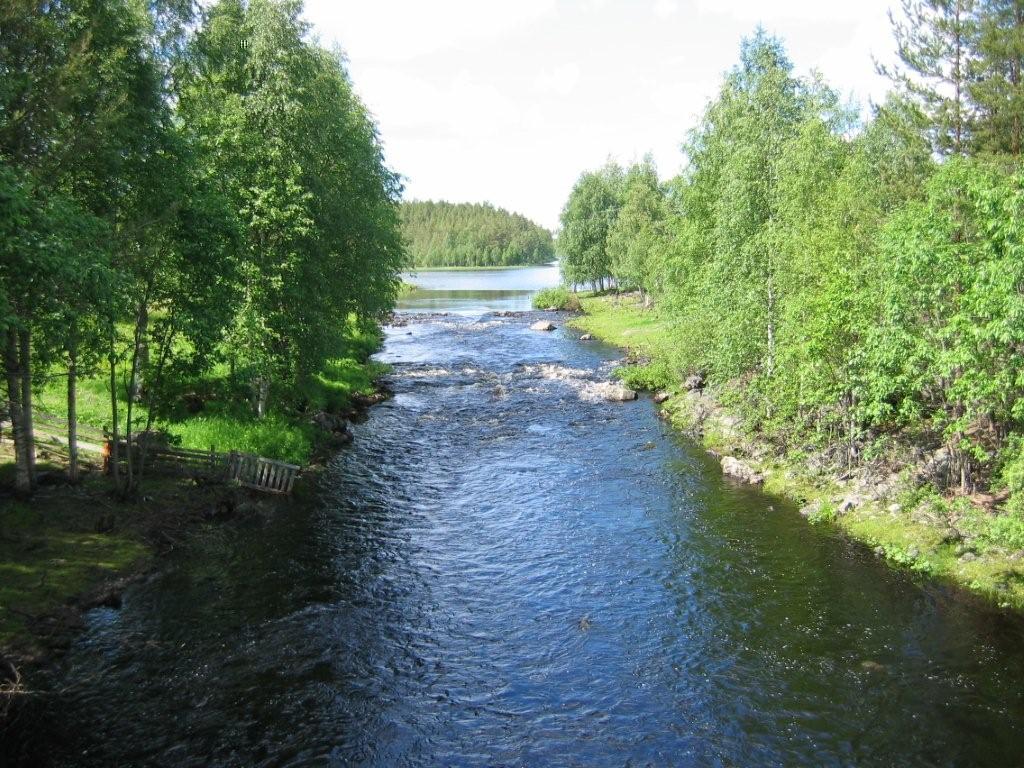 Kiekinniemenkoski 2009.